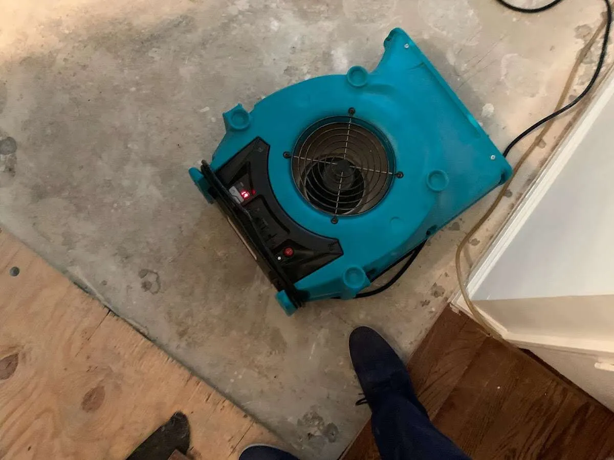 Air mover drying subfloor during Leak Detection & Repair in Hempstead